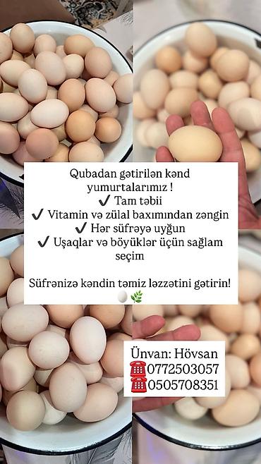 et xengeli: Məhsul: Zeytun yağı (isti sıxım) və təzə kəsim toyuq - Zeytun yağı: 3 — 7