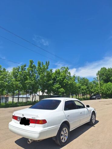 рейка камри 30: Toyota Camry: 2001 г., 2.2 л, Автомат, Бензин, Седан