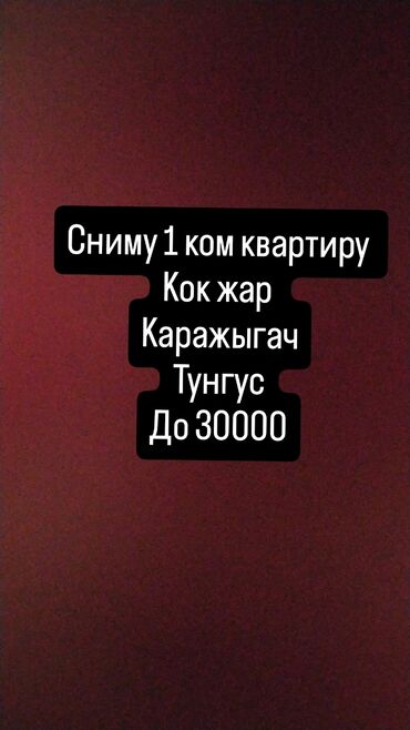 сниму квартиру однокомнатную: 1 комната, 35 м², С мебелью