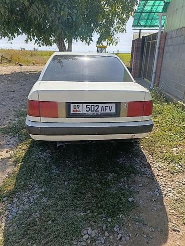 Audi: Audi 100: 1993 г., Седан — 7