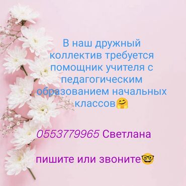 работа для мамочек в декрете на дому: Талап кылынат Башталгыч класстрадын мугалими, Жеке мектеп, 1-2-жылдык тажрыйба