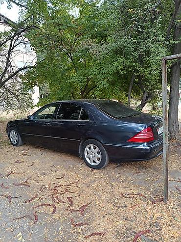 кабан 140: Mercedes-Benz S-Class: 2001 г., 5 л, Автомат, Бензин, Седан — 5