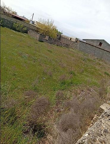 çeşqa satışı: 10 sot, Tikinti, Mülkiyyətçi, Kupça (Çıxarış) — 1