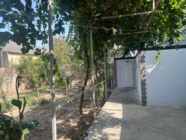 Ev üçün digər mallar: Dəyər qiymətindən daha uyğun qiymətə, ramana susa şəhərciyində iki — 11