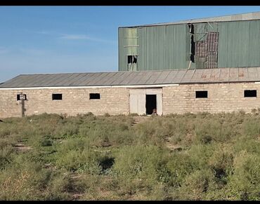 объявления о продаже земельных участков: 11 sot, Kənd təsərrüfatı, Kupça (Çıxarış)