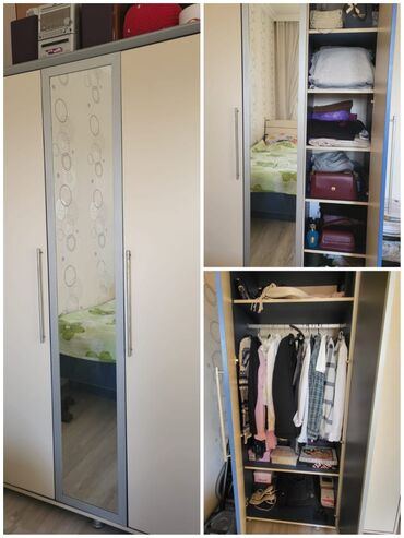 Professional sobalar: İşlənmiş, Açılan, 2 qapılı Qarderob, paltar dolabı