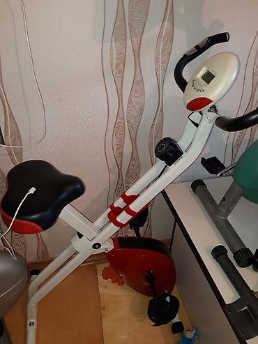 Trenajorlari velotrenajor veloxizekler her cure vardir. Qiymetler cox lalafo.az -da Trenajorlari velotrenajor veloxizekler her cure vardir. Qiymetler cox