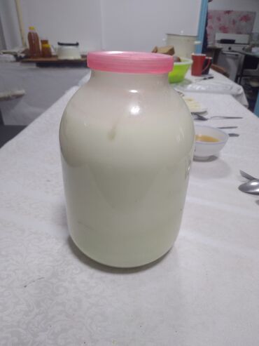 Козы, козлы: Продаю | Коза (самка) | Для разведения — 24