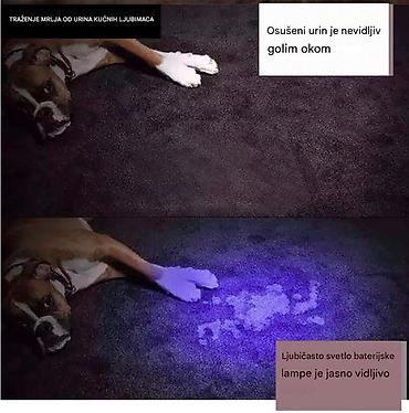 Rasveta: Nova UV lampa sa 100 svećica. Koristi šest AA baterije. Napravljena je — 7