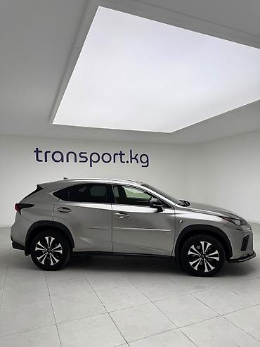 Lexus: Lexus NX: 2018 г., 2 л, Автомат, Бензин, Кроссовер — 6
