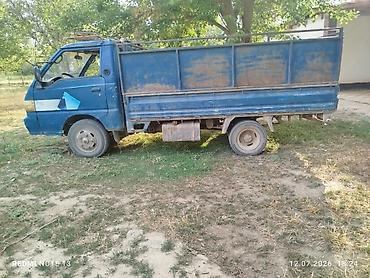 salma: Легкий грузовик, Hyundai, Стандарт, Б/у — 3