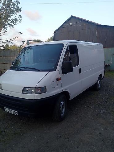 Fiat: Fiat Ducato: 2 l | Mikroavtobus — 11