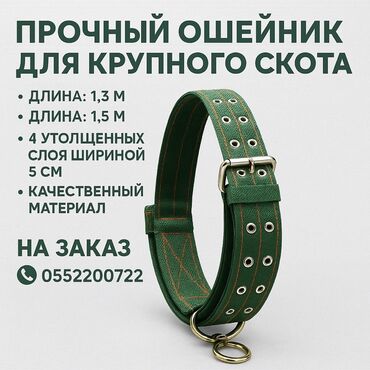 домик для щенка: Прочный ошейник для крупного скота 🐂 🔹 Доступен в двух размерах: –