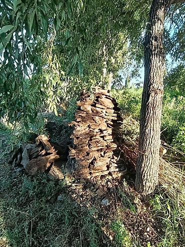 Үй жана бакча үчүн баардык: Кизяк (сухие лепёшки навоза) для отопления и растопки. - Форма — 2