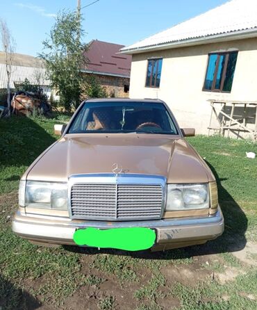 шины на гольф 2: Mercedes-Benz W124: 1989 г., 2.9 л, Механика, Дизель, Седан