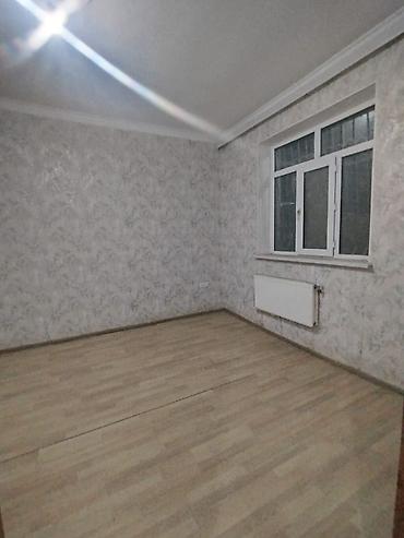 lalafo az qusar: 3 otaqlı, 100 kv. m, Kredit yoxdur, Yeni təmirli — 6