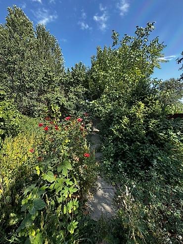 Продажа коттеджей и домов: 🏡 Продается просторный дом в селе Люксембург 📍 Улица Советская — тихое — 13