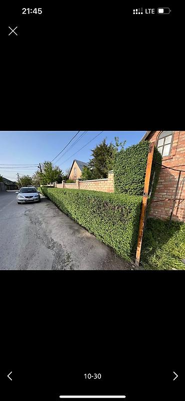 Дворники, садовники: 🌱Я Садовник Стрижка Живой изгородь,самшит,Туи,хвойные растения, Я — 10