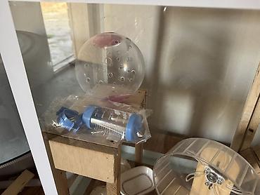 bakida it satisi: Çunqarık və Hamster üçün geniş akvarium tipli qəfəs və aksesuar — 5