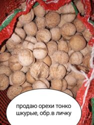 стиральный порошок оптом в мешках: Кургатылган жемиштер, жаңгактар, снектер