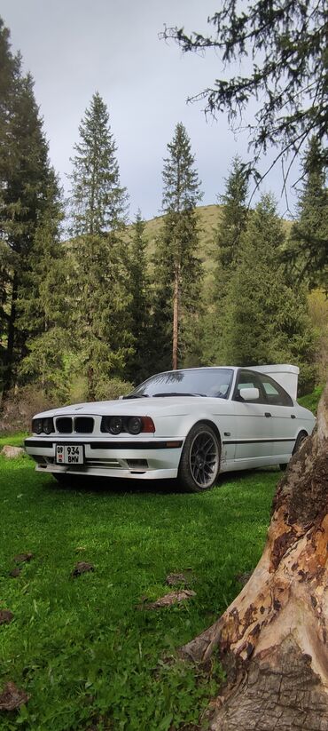 BMW: Автомобиль BMW в кузове E34, окрашенный в белый цвет. Установлены