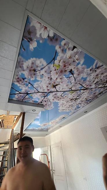 Натяжной потолок: Натяжной потолок Матовое, 3D потолки, Глянцевое Бесплатная консультация, Демонтаж, Бесплатный замер — 19