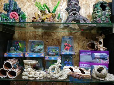 купить морской аквариум бу: Аксессуары для оформления аквариумов
