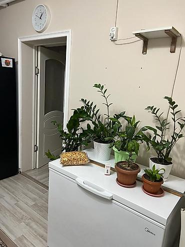 Продажа коттеджей и домов: Эксклюзивный вариант! Продается дом с участком в отличной локации — 3
