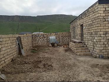 oguz ev: Satışda: həyətyanı sahəsi və tikilisi olan torpaq Xüsusiyyətlər: - — 5