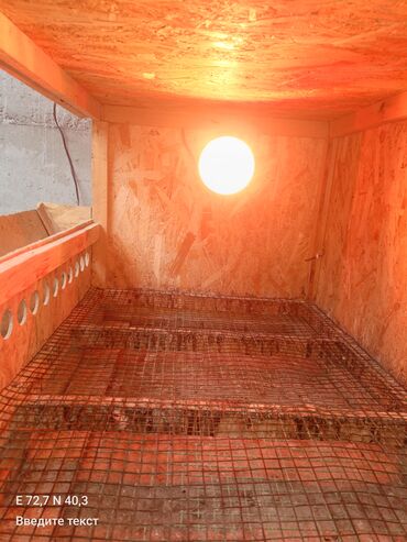 Товары и оборудование для с/х животных: Брудер/клетка для молодняка птицы - Материал: каркас и стены из OSB — 4