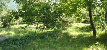 Torpaq sahələrinin satışı: 10 sot, Tikinti, Mülkiyyətçi, Kupça (Çıxarış) — 18