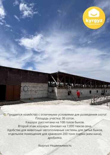 комната сутки бишкек: 30 соток, Для сельского хозяйства, Красная книга, Тех паспорт