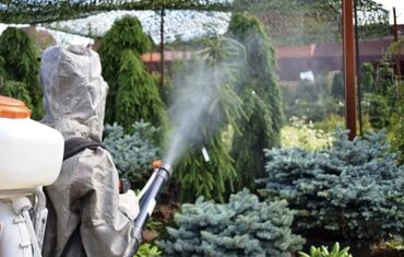 измельчитель веток: Покос газона 
Обрезка растений
Осенняя обработка и подкормка растений
