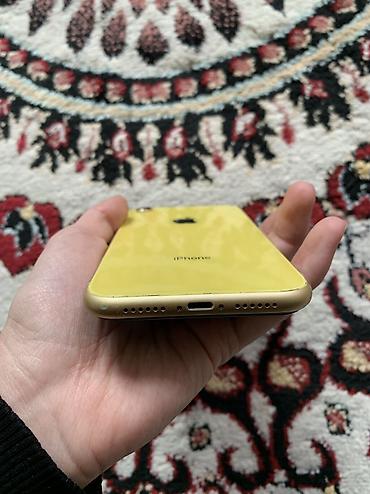 Apple iPhone: IPhone Xr, Б/у, 64 ГБ, 100 % — 4