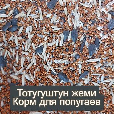 кукуруа: Корма для птиц и животных. Оптом и в розницу. У нас вы найдете все — 4