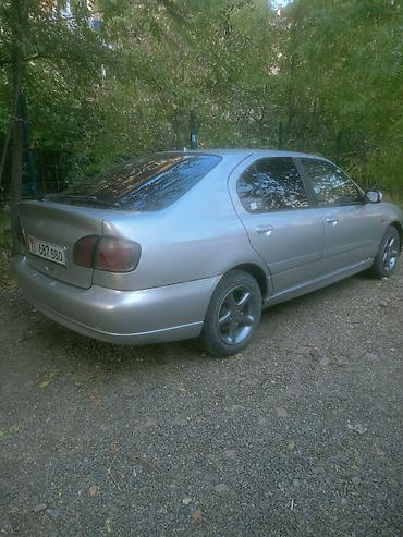 li 8: Nissan Primera: 2001 г., 1.8 л, Механика, Бензин, Хэтчбэк — 3