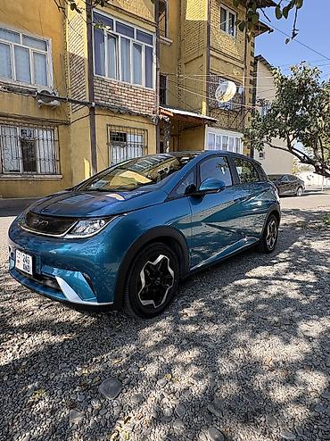 депал с 07 цена: BYD Dolphin: 2022 г., Автомат, Электромобиль — 1