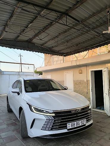 prado satisi: BYD Qin Plus: 1.5 l | 2025 il 19000 km Sedan — 3