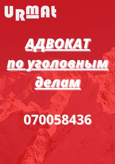 экскорт услуги в Кыргызстан | Юридические услуги: Юридические услуги | Уголовное право | Консультация, Аутсорсинг