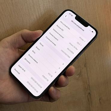 Apple iPhone: IPhone 13 Pro, Б/у, 512 ГБ, Pacific Blue, Чехол, 94 % — 6