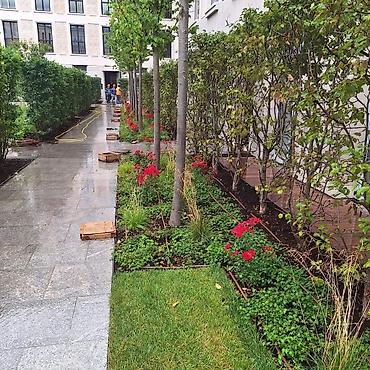 Ремонт сантехники: Ремонт сантехники Больше 6 лет опыта — 30