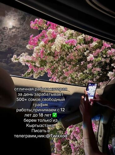 эффективная реклама в бишкеке: Интернет реклама