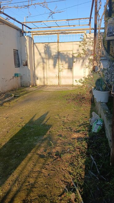 Bağ evlərinin kirayəsi: Qala qəs., 65 kv. m, 2 otaqlı, Hovuzsuz, İnternet, Qaz, İşıq -da lalafo.az — 5 Bağ evlərinin kirayəsi: Qala qəs., 65 kv. m, 2 otaqlı, Hovuzsuz, İnternet, Qaz, İşıq — 5