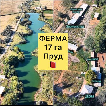 сниму дом недорого: 1700 соток, Айыл чарба үчүн, Сатып алуу-сатуу келишими, Кызыл китеп