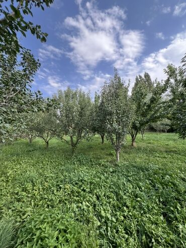 Продажа домов: Дом, 500 м², 6 комнат, Собственник, ПСО (под самоотделку) — 30