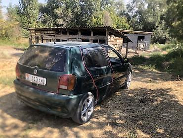 муссо спорт: Volkswagen Polo: 1999 г., Хэтчбэк — 3