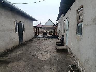 Продажа коттеджей и домов: Продаётся одноэтажный дом с хозяйственными постройками — 3