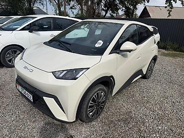 BYD: BYD Seagull: 2024 г., 0.1 л, Автомат, Электромобиль, Хэтчбэк — 2