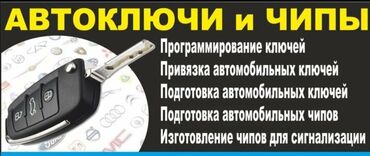 runx alex: Автоключи и чипы — профессиональные услуги: - Программирование ключей
