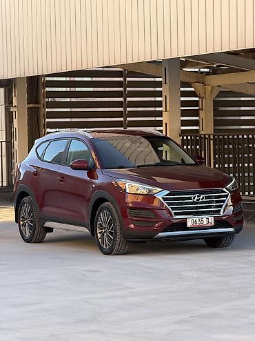 Hyundai: Hyundai Tucson: 2019 г., 2.4 л, Автомат, Бензин, Кроссовер — 3